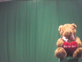 270 Degrees _ Picture 9 _ Valentines Day Teddy Bear.png
